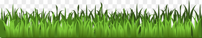 Grass Lawn Download Clip Art PNG