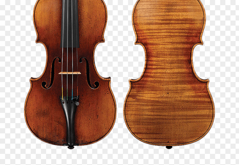 Violin Player Stradivarius Luthier String Instruments Cello PNG