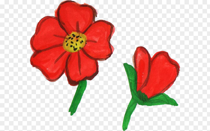 Watercolor Flower Flowering Plant Cut Flowers Stem Red PNG