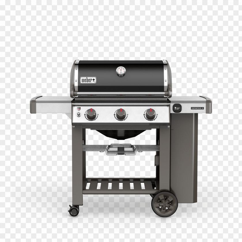 Barbecue Weber-Stephen Products Weber Genesis II E-310 Grilling Natural Gas PNG