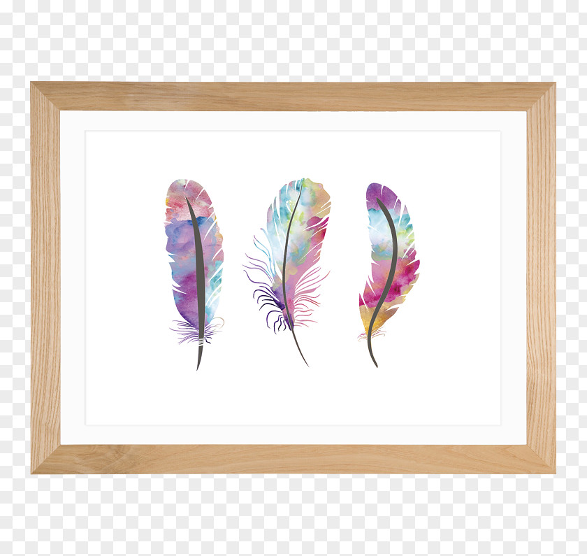 Feather Watercolor Painting Printing Dreamcatcher PNG