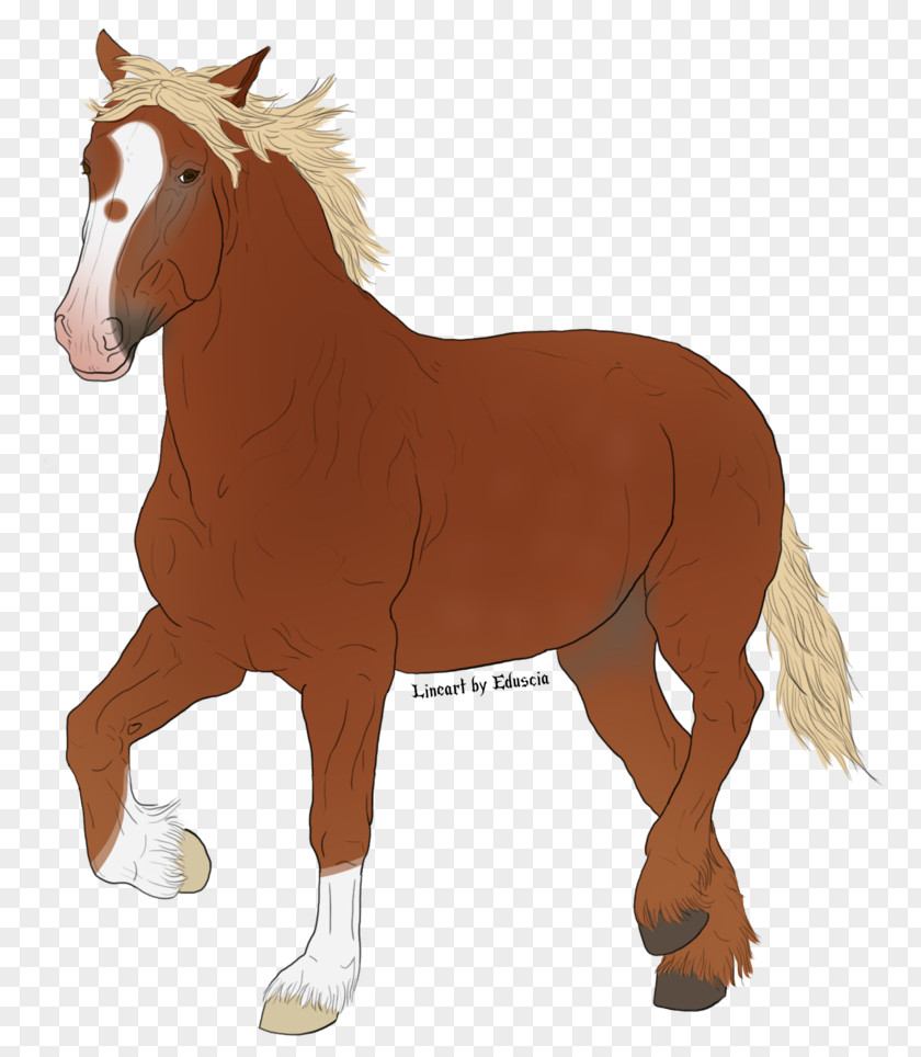 Irish Lass Mustang Mare Foal Stallion Rein PNG