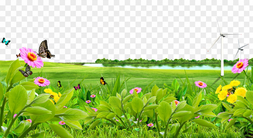 Lake Meadow Flowers Background Material Lawn Wallpaper PNG