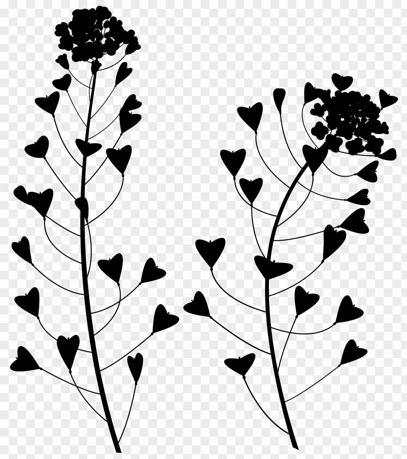 Leaf Pattern Floral Design Clip Art PNG