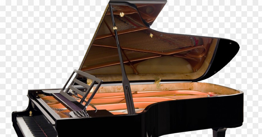 Piano Grand Feurich Steinway & Sons PNG
