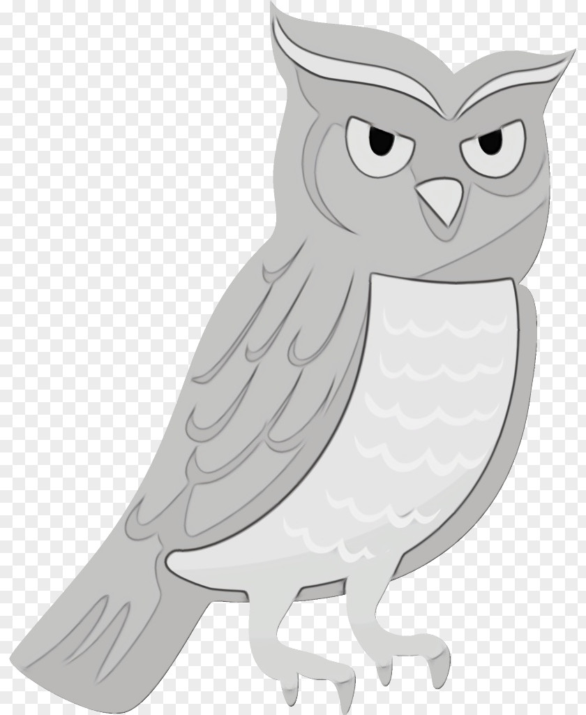 Snowy Owl Screech White Bird Of Prey Cartoon PNG