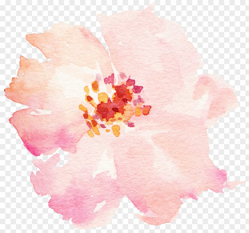 Watercolor Flowers Pale Pink PNG flowers pale pink clipart PNG