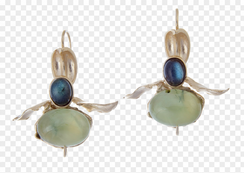 Clavo Turquoise Earring PNG