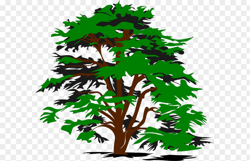 Trees Clipart Tree Oak Clip Art PNG