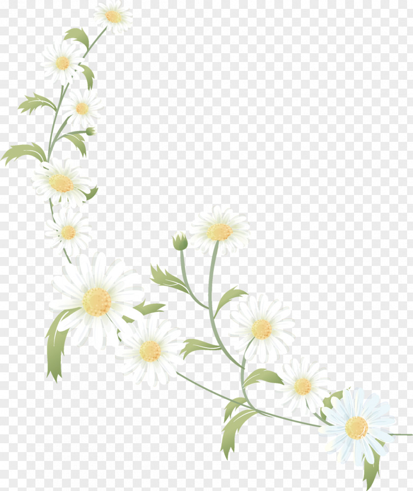 100% Flower Desktop Wallpaper Clip Art PNG