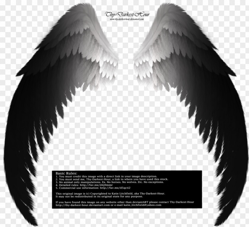 Angel Wings Archangel Drawing Fallen PNG