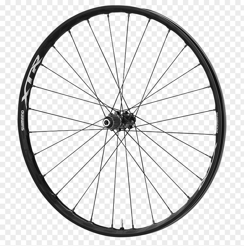 Bicycle Wheels DT Swiss 29er PNG