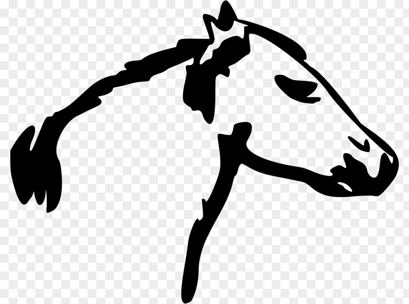 Mustang Draft Horse Clip Art PNG