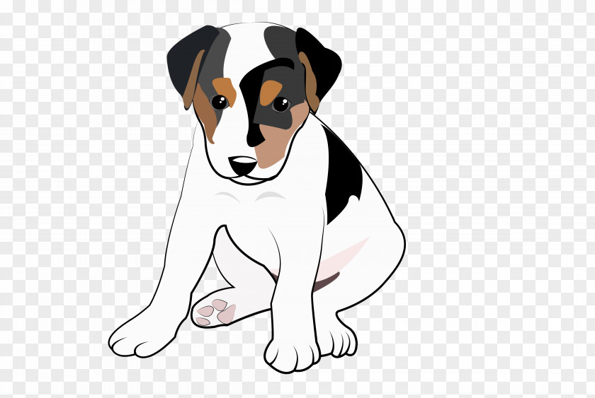 Puppy Dog Breed English Foxhound Danish–Swedish Farmdog Russell Terrier PNG