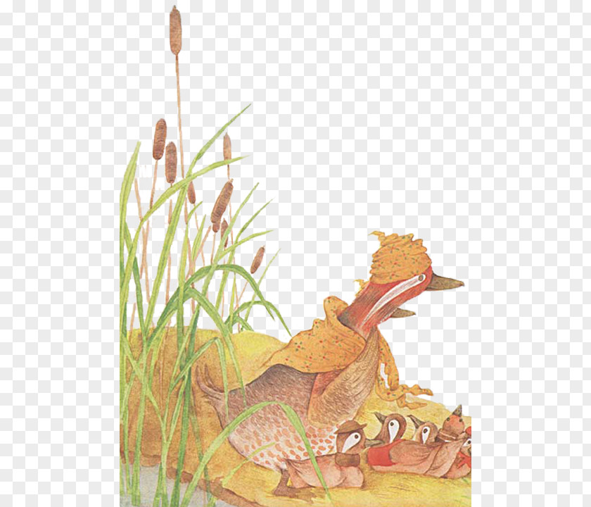 Reed Marshes And Ducks Duck Child Mother PNG