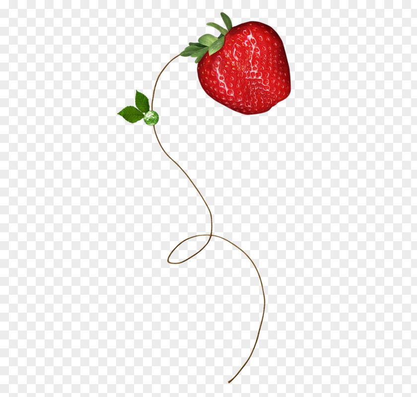 Strawberry Berries Clip Art PNG
