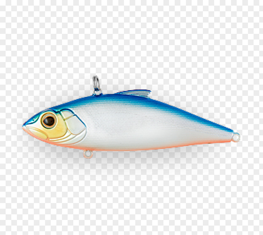 Design Spoon Lure Sardine Jigging Oily Fish PNG