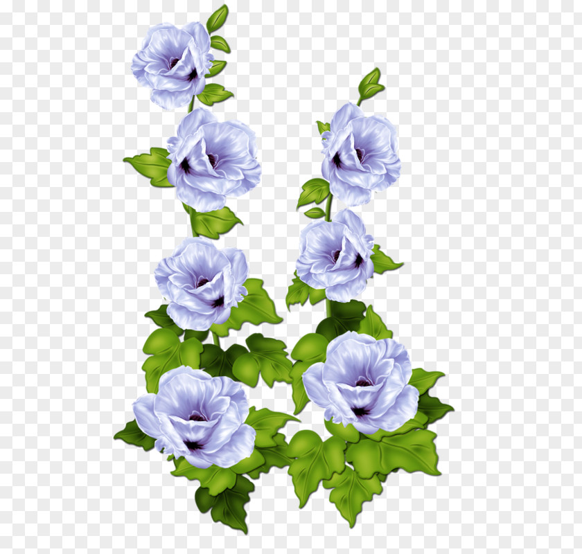 Flower Cabbage Rose Blue Garden Roses PNG