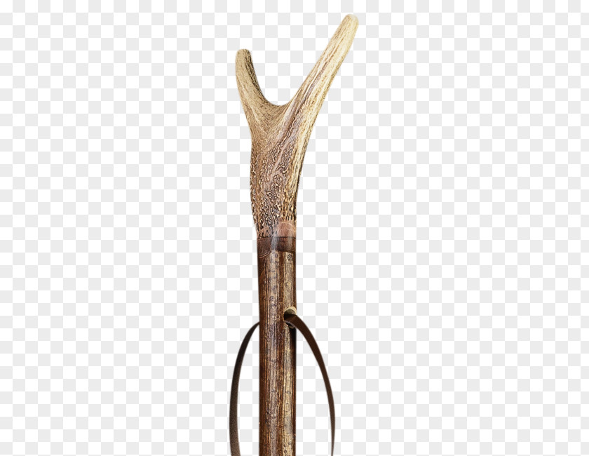 Labrador Antler Walking Stick Bastone Assistive Cane Deer PNG