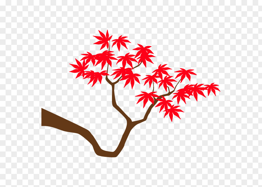 Maple Leaf Clip Art Line Twig PNG