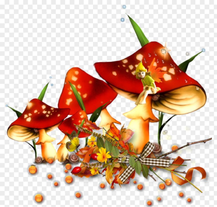Mushroom Art Clip PNG
