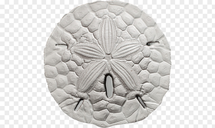 Sand Dollar Coin Proof Coinage Silver PNG