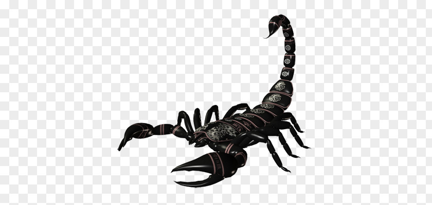 Scorpions PNG clipart PNG