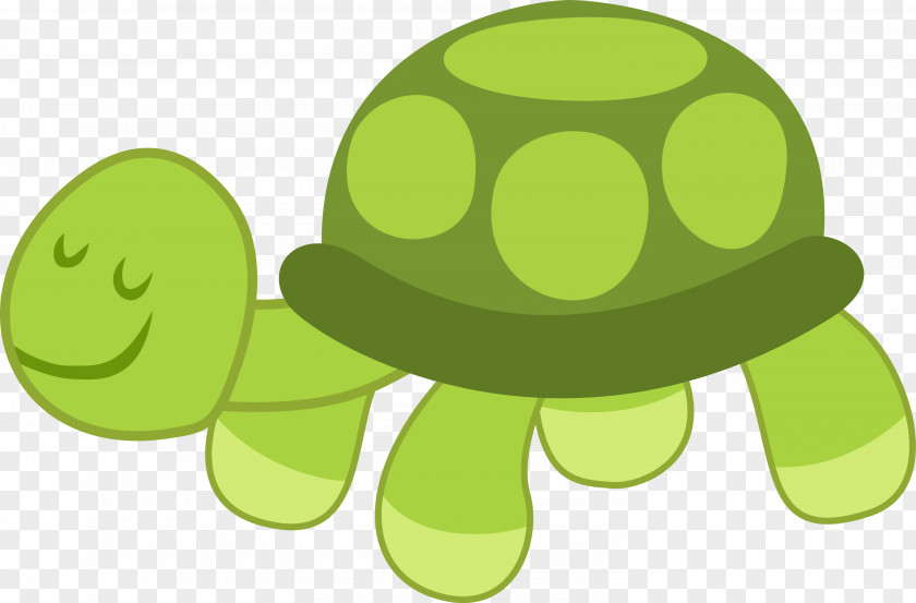 Turtle Reptile Pony Clip Art PNG