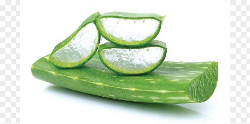 Aloe Vera Leaf Acne Skin Care Gel Aloin PNG