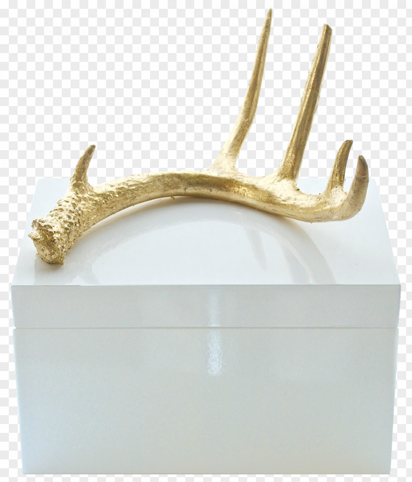 Antlers Antler Box House Deer Metal PNG