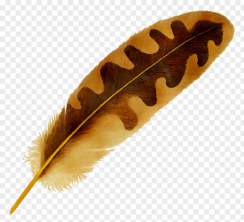 Clip Art Feather Openclipart Free Content Drawing PNG