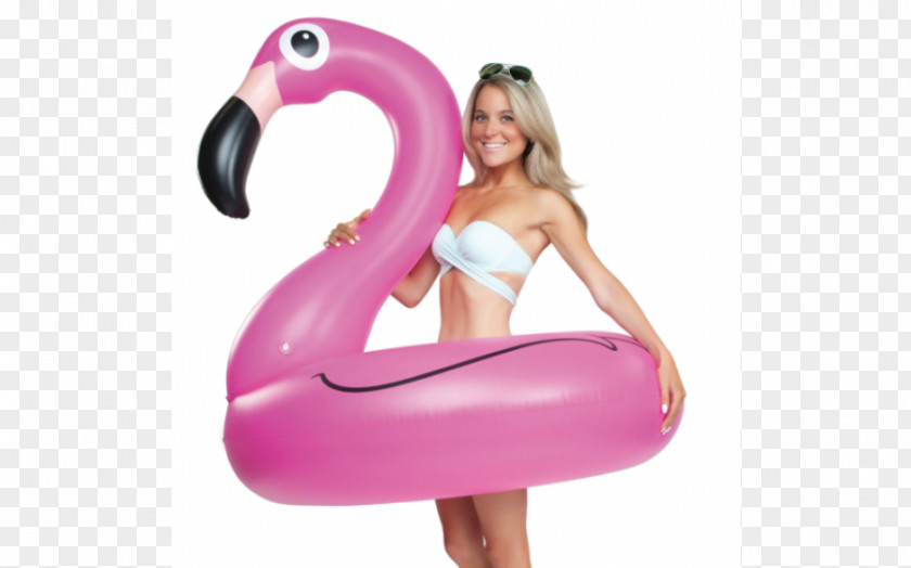 Flamingo Inflatable Swimming Pool Swim Ring Float PNG