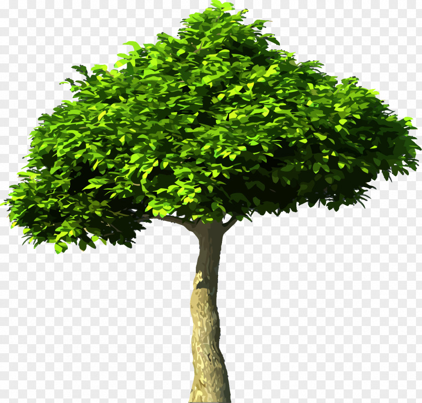 Tree Vector Carbon Dioxide Global Warming Atmosphere Of Earth PNG