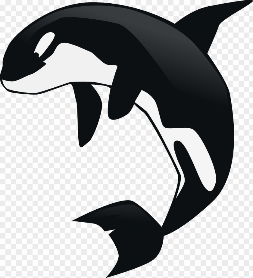 Whale Killer Clip Art PNG