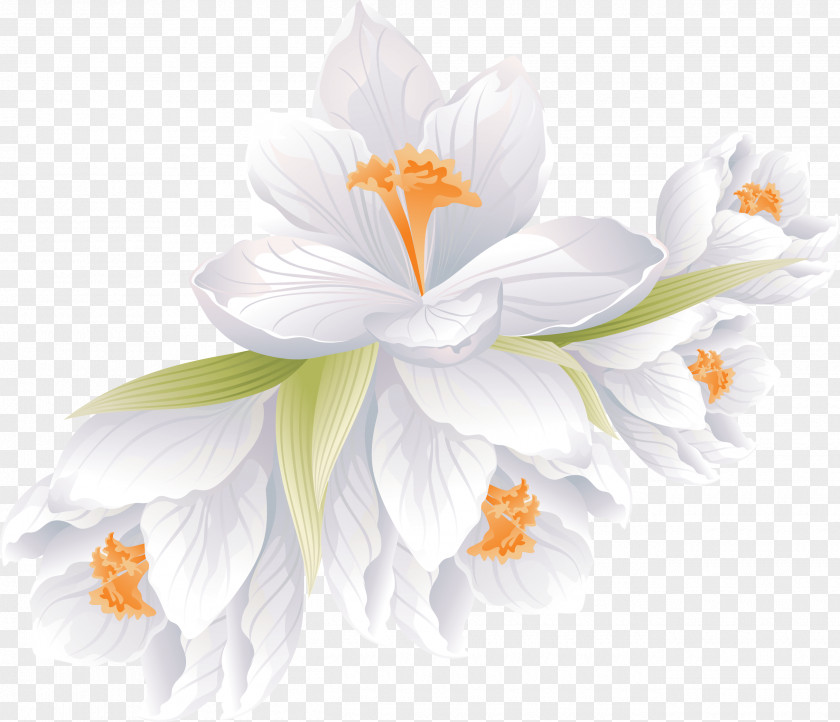 Flower Bouquet Clip Art Floral Design PNG