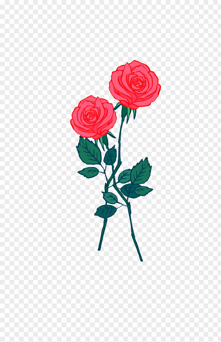 Garden Roses PNG