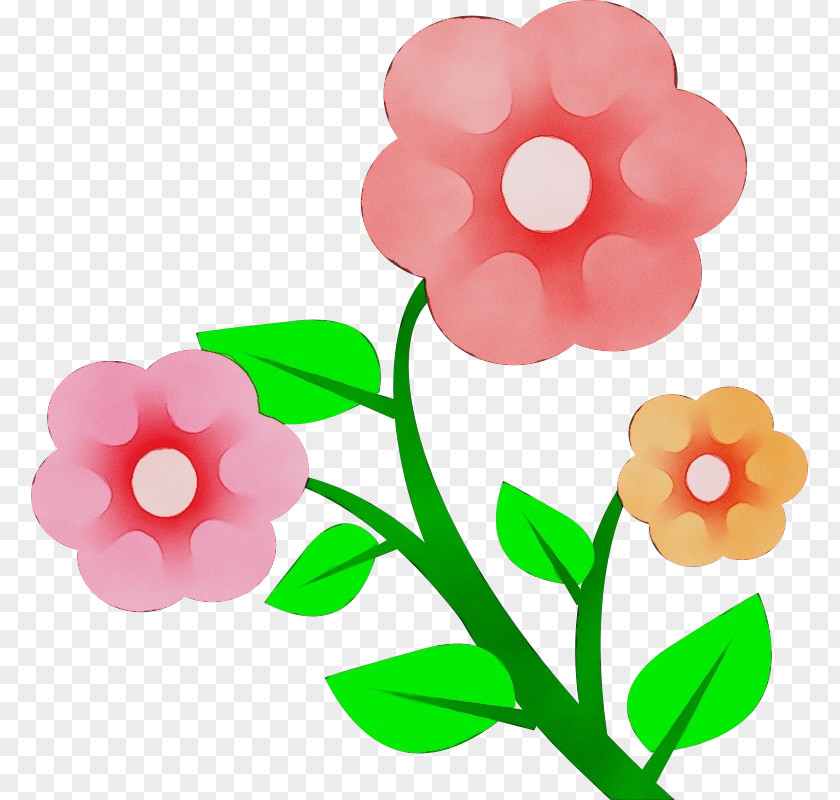 Impatiens Cut Flowers Clip Art Pink Flower Petal Plant PNG