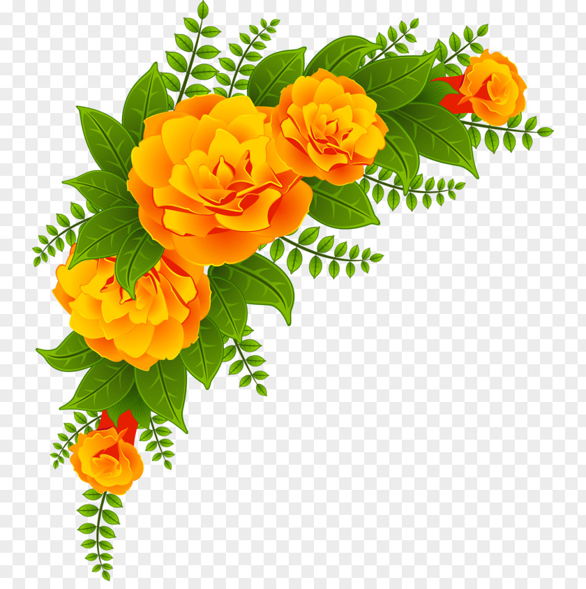 Madre Border Laguna Clip Art Adobe Photoshop Floral Design Photography PNG