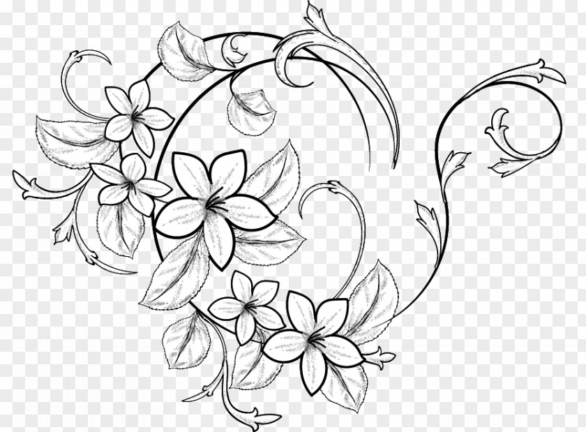 MBihu Filigree Floral Design Illustration Drawing /m/02csf Black & White PNG