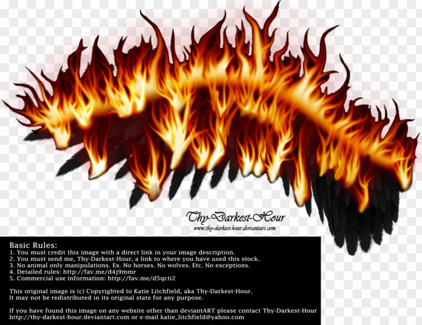 Wings Cool Flame Wing PNG