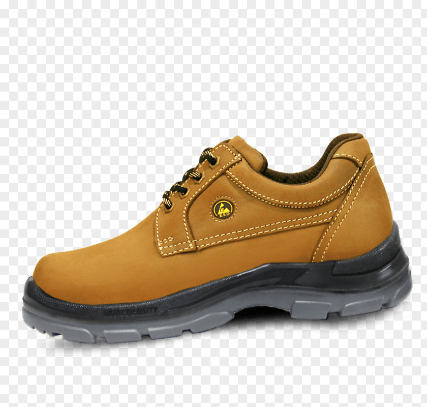 Boot Hiking Shoe PNG