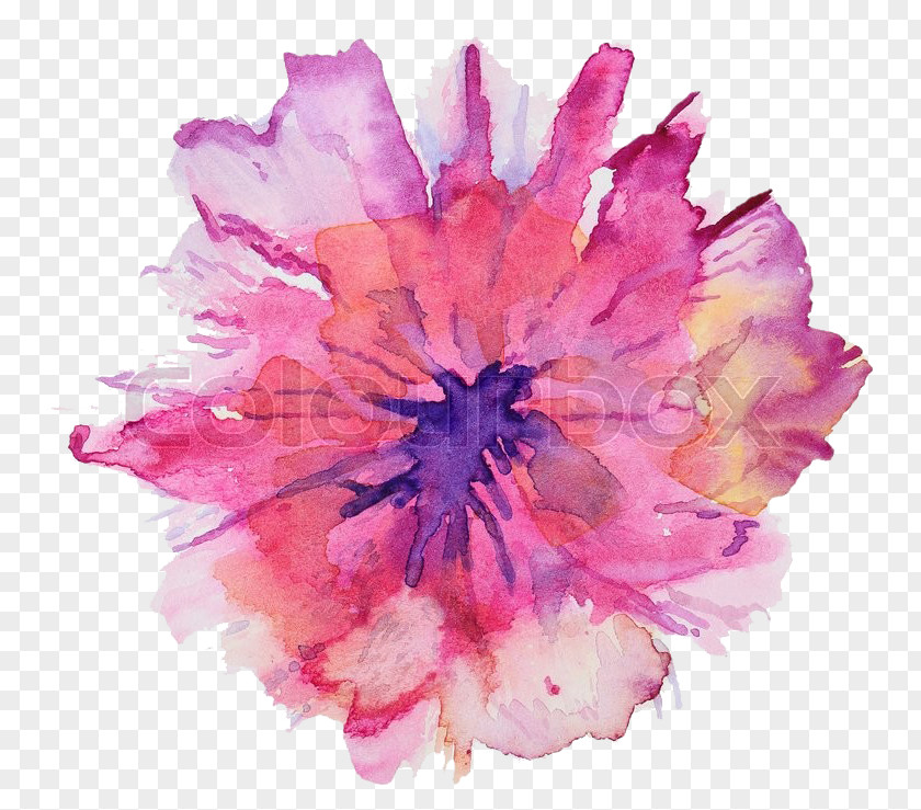 Painting Watercolour Flowers Watercolor Art Drawing PNG