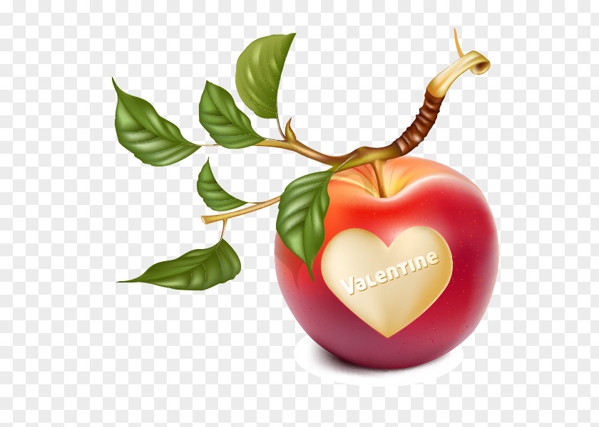 Romantic Heart-shaped Apple Branch Clip Art PNG