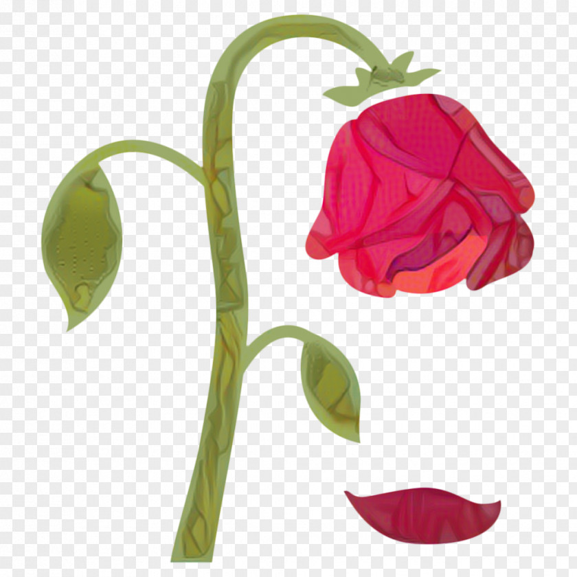 Sweet Peas Lily Family Flower Cartoon PNG