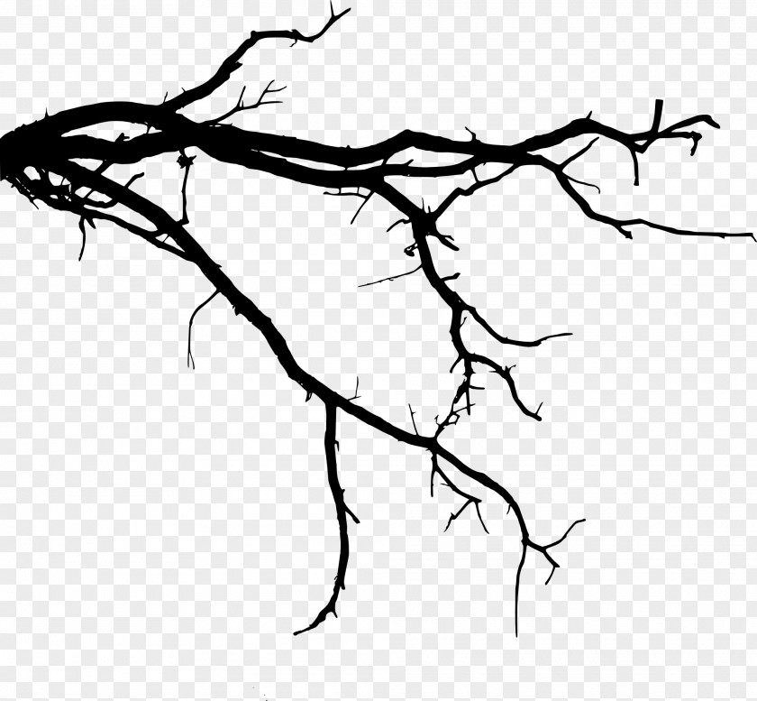 Tree Branch Clip Art PNG