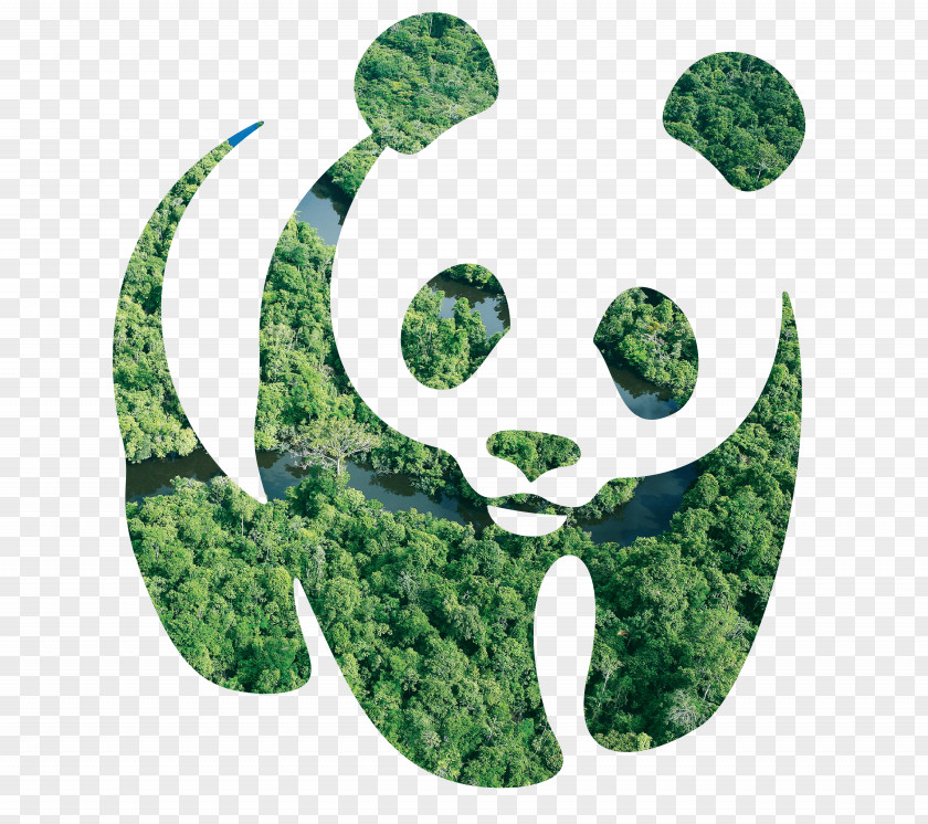 Wwf Symbol Giant Panda Gothenburg Museum Of Art Pixel PNG