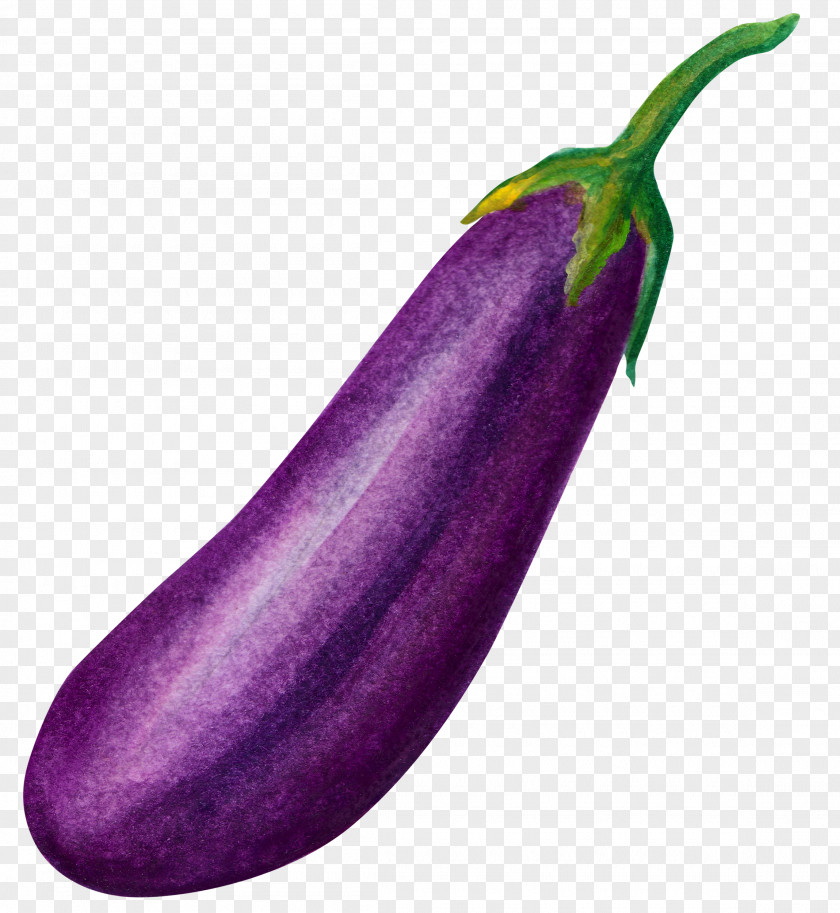 An Eggplant Vegetable Food PNG