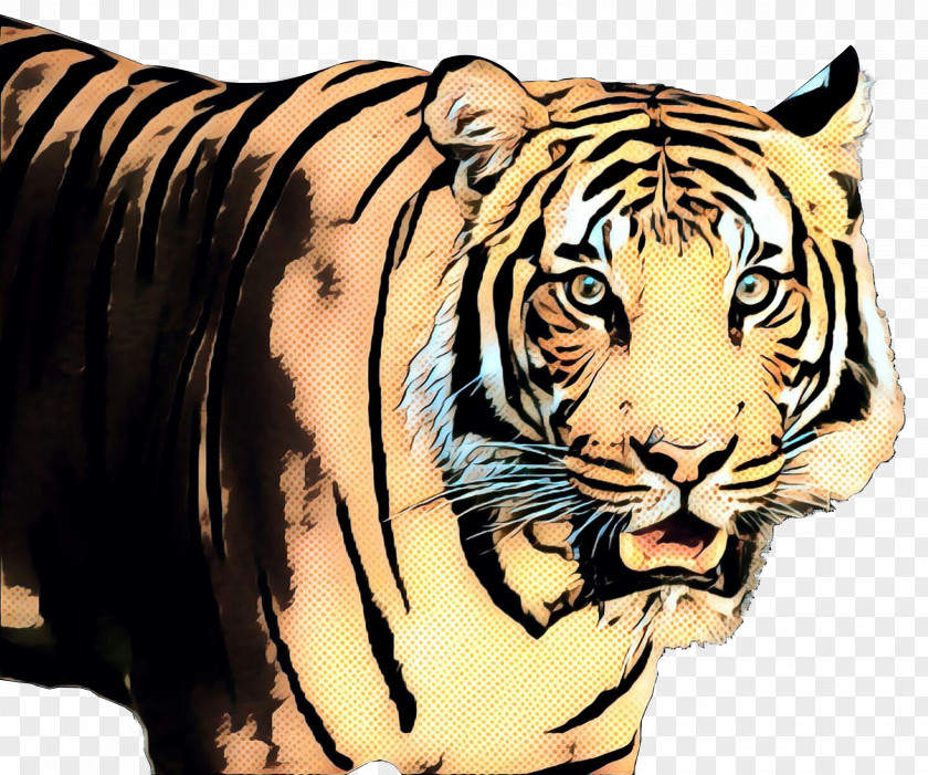 Bengal Tiger Clip Art Image PNG