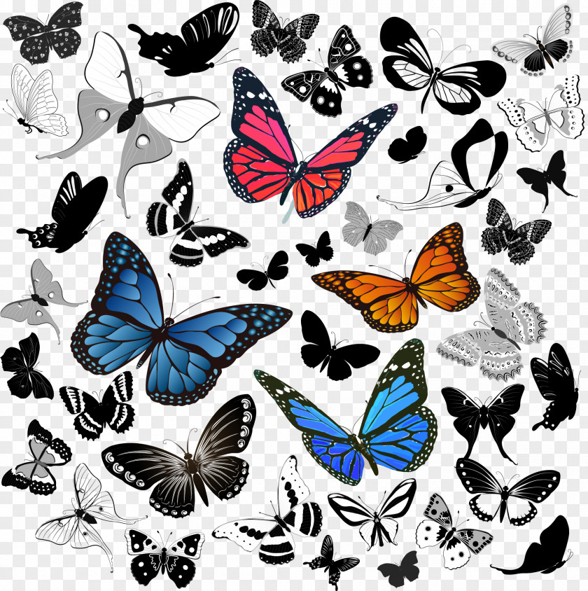 Butterfly Book PNG