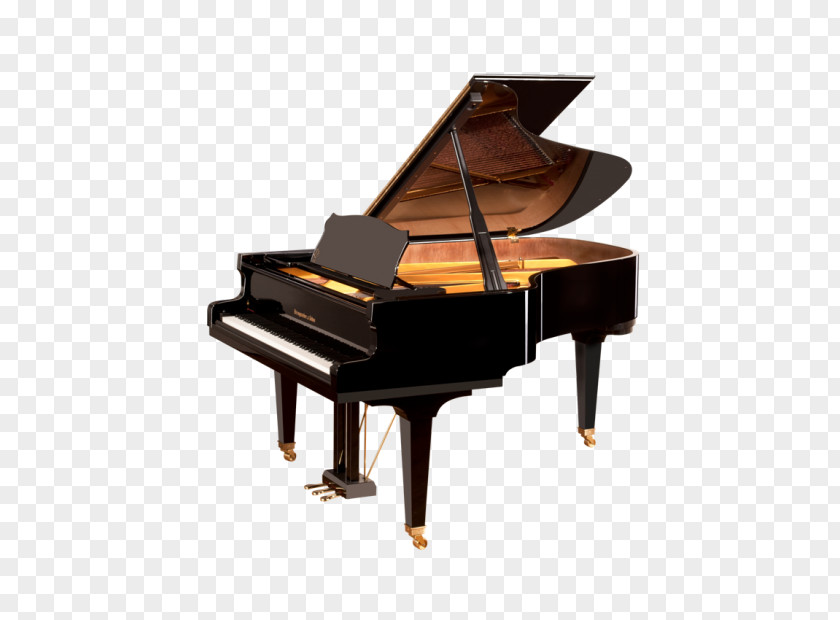 Piano Grand Steingraeber & Söhne Musical Instruments Pianoteq PNG
